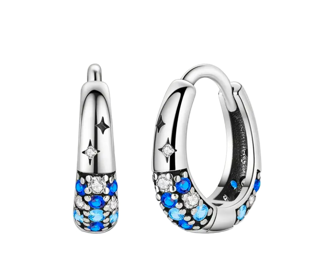 Night Sky Silver Earrings