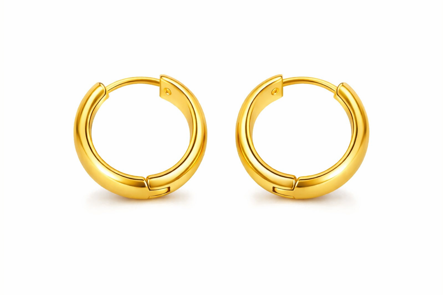 Bold Double Hoop Earrings