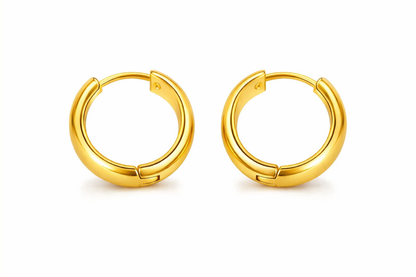 Bold Double Hoop Earrings