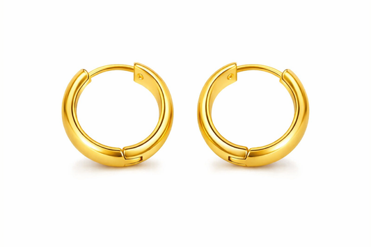 Bold Double Hoop Earrings