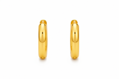 Bold Double Hoop Earrings